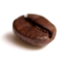 coffee bean